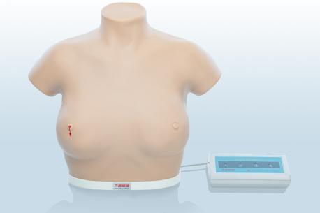 電子乳腺癌觸診、視診訓(xùn)練模型