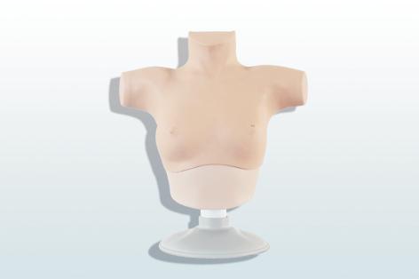 乳腺癌觸診、視診訓(xùn)練模型